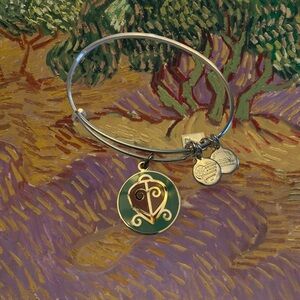 Alex and Ani Charity by Design The Way Home Silver Adjustable Charm Bracelet